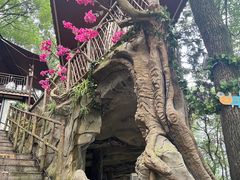-巴倒烫陆派火锅山庄(南山总店)