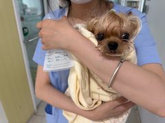 -谐和贝康宠物医院24小时·宠保定点(急重症转诊中心)