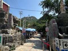 -大岭沟猕猴桃谷风景区