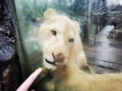 -贵州森林野生动物园
