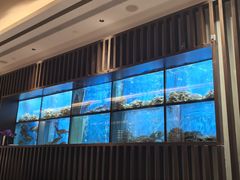 -珍宝海鲜JUMBO Seafood(尚嘉店)