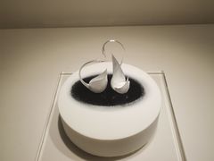 -BLACKSWAN黑天鹅(环球店)