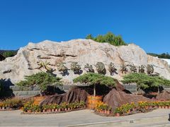 -北京西山国家森林公园