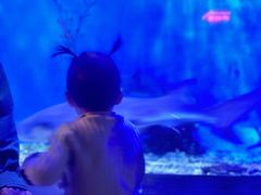 -太平洋海底世界