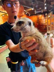 -Zoolung Zoolung动物主题公园(海信广场店)