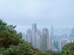 -太平山顶