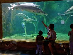 -华夏文旅海洋公园