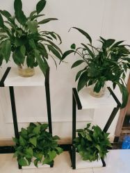 -香秀空间科技抗衰·美容中心