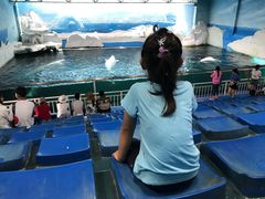 -秦皇岛乐岛海洋王国