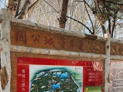 -青城公园