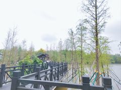 -海珠湖公园