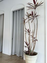 -WAVE SODA摄影工作室