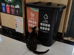 -瑞鹏宠物医院犬猫全科(真大分院)