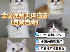 -lincat·猫舍(广州店)