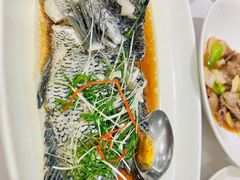 -骏莱海鲜鱼港(五角场店)