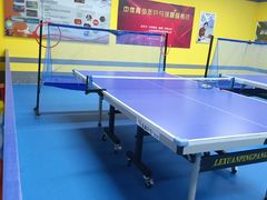 -乐旋乒乓球(深圳南油店)