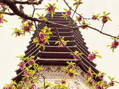 -玲珑塔公园