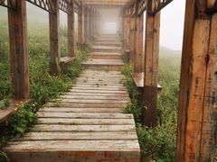 -白草畔自然风景区