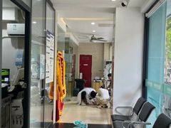 -瑞派天使宠物医院·神经外科·骨科·核磁CT(洛川中路店)