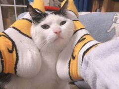 -甜心(广厦街店)