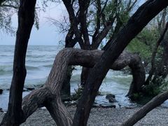 -呈贡滇池生态湿地公园