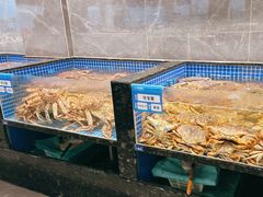 水产区-东海怡品海鲜豆捞(星街坊店)