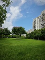 -深圳市儿童乐园