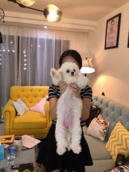 -肌理言健康美肌驻颜所