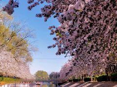 -元大都城垣遗址公园