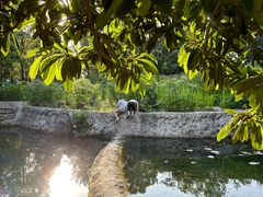 -成都市活水公园