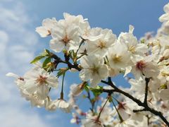 -浙江大学（紫金港校区）动物科学学院