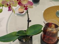 -金河半岛园林酒家(金融城店)