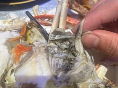 -半岛听涛蒸汽海鲜自助(K11店)