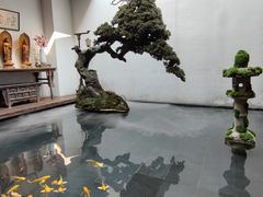 -觀芷隐轩·宋宴(河坊街店)