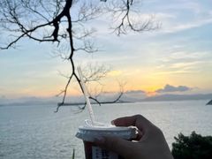 -Brew Farm·精酿农场海滨悬崖餐厅