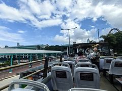-Big Bus Tours 敞篷观光巴士