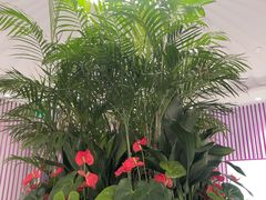 -LANN I 蘭 SPA(陆家嘴中心店)