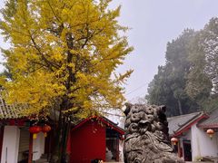 -金堂县云顶石城风景区