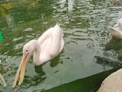 -灵玲国际马戏城