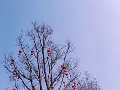 -诗经里