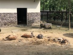 -上方山森林动物世界