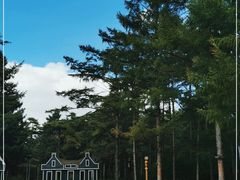 -黑龙江省森林植物园