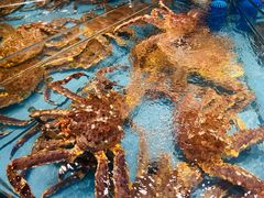 -渔傅·霞浦滩涂海鲜(建平店)