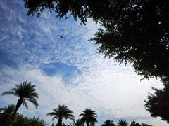 -海沧湾公园