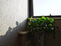 -国强手抓(西夏区店)