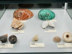 -天津古林古海岸遗迹博物馆