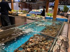 活鲍鱼-阳光岛·海鲜盛宴(银泰中心in99店)