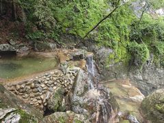 -牛背梁国家森林公园