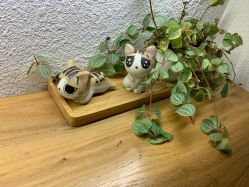 -Clover Beauty四葉美睫