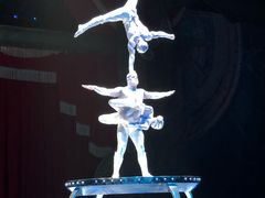 -珠海横琴长隆《卡卡虎奇遇记》